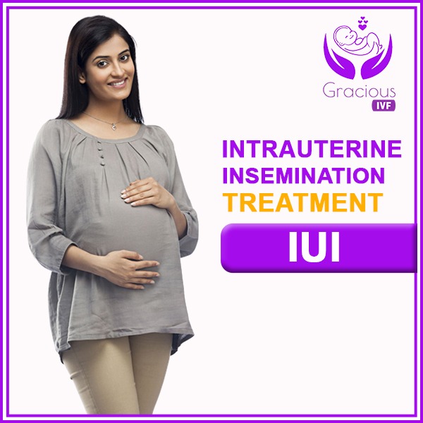 Intrauterine Insemination Iui Treatment Gracious Ivf